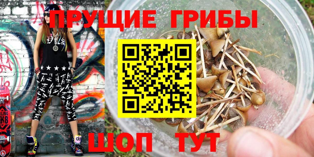 Галлюциногенные грибы GOLDEN TEACHER  Галлюциногенные грибы Magic Shrooms  Каменск-Уральский  Вход с VPN 