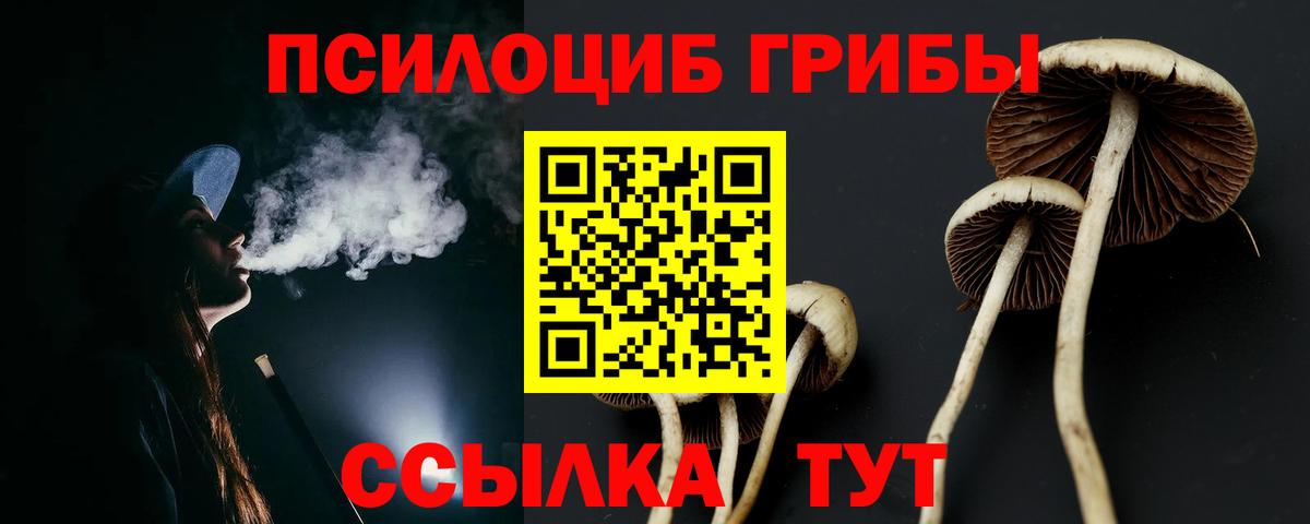 Псилоцибиновые грибы GOLDEN TEACHER Каменск-Уральский